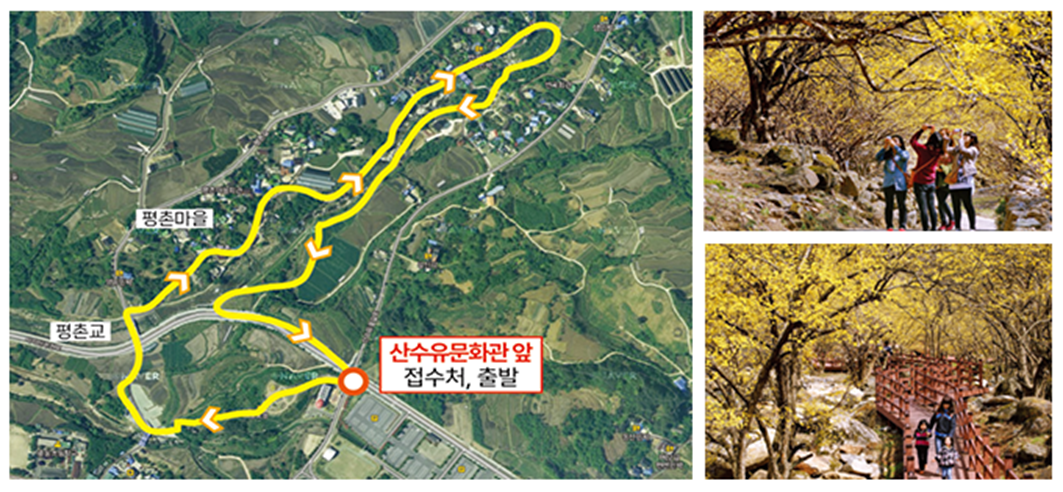 구례산수유꽃축제 기본정보