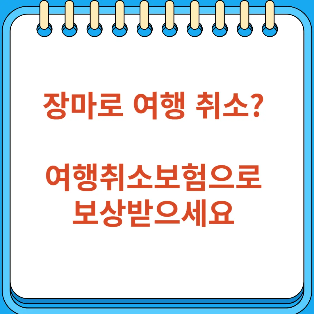 장마로 여행 취소 걱정 보험으로 보상