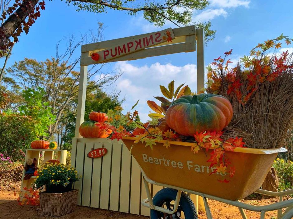 베어트리파크 포토존