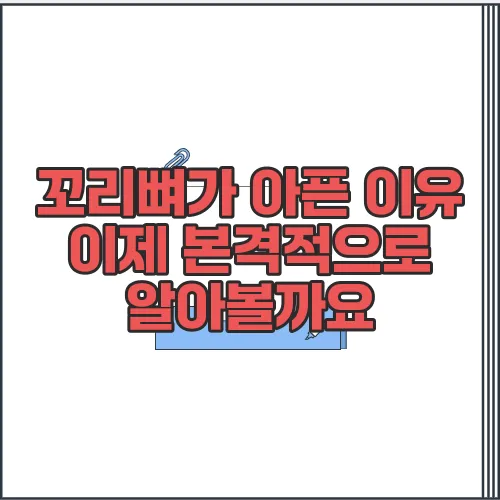 꼬리뼈가 아픈 이유 이제 본격적으로 알아볼까요