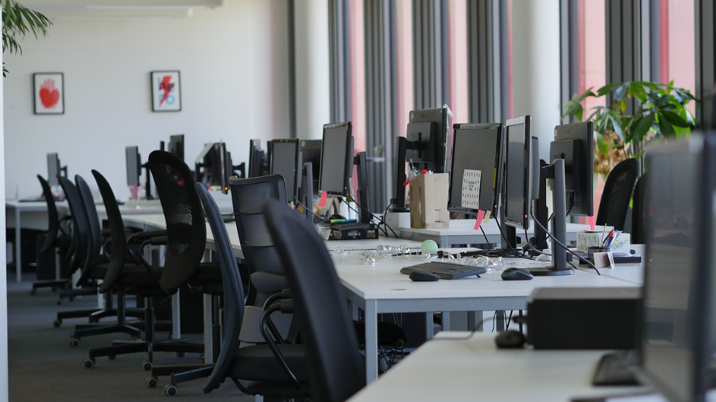 노동시장 변화와 미래 일자리 전망