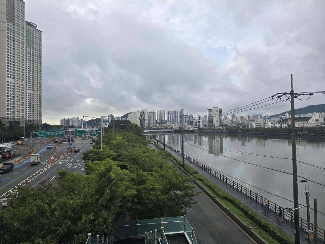 다리위에서 본 수영강변 풍경