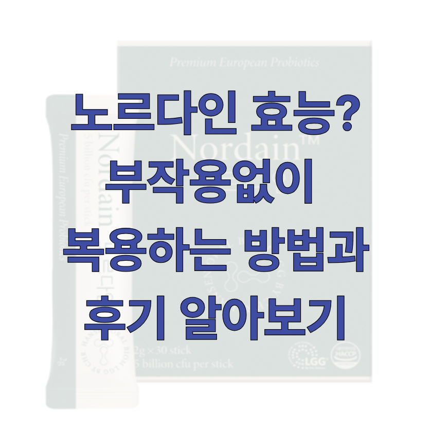 노르다인에 관한 글 썸네일
