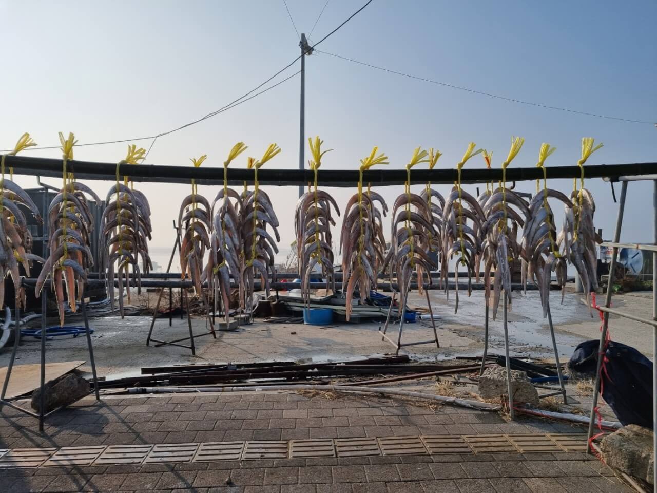 식객 허영만의 백반기행 298회 한그루와 함께한 부안 밥상! 풀지조림과 젓갈백반 맛집 곰소등대길밥상