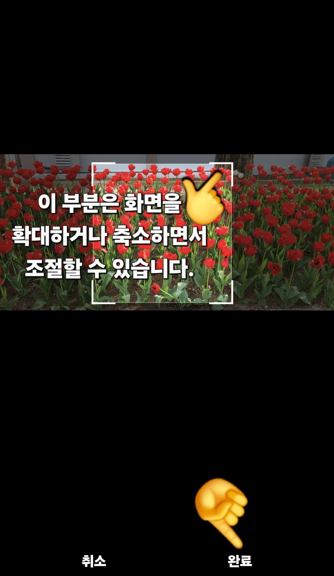 다음(Daum)-꽃검색-방법-안내-그럼-화면에-네모-표시가-나타나며,-이미지를-확대하거나-축소하면서-인식-범위를-조절할-수-있는데요.-궁금한-식물이나-꽃,-풀을-조절하면서-보다-정확히-인식되도록-활용해-보세요.-모든-설정이-끝나면-오른쪽-하단의-완료-버튼을-클릭합니다.
