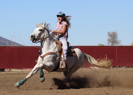 말을 타고 있는 여성 - Instruct Pix2Pix 입력