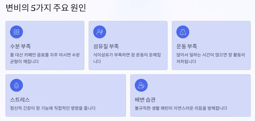변비 원인