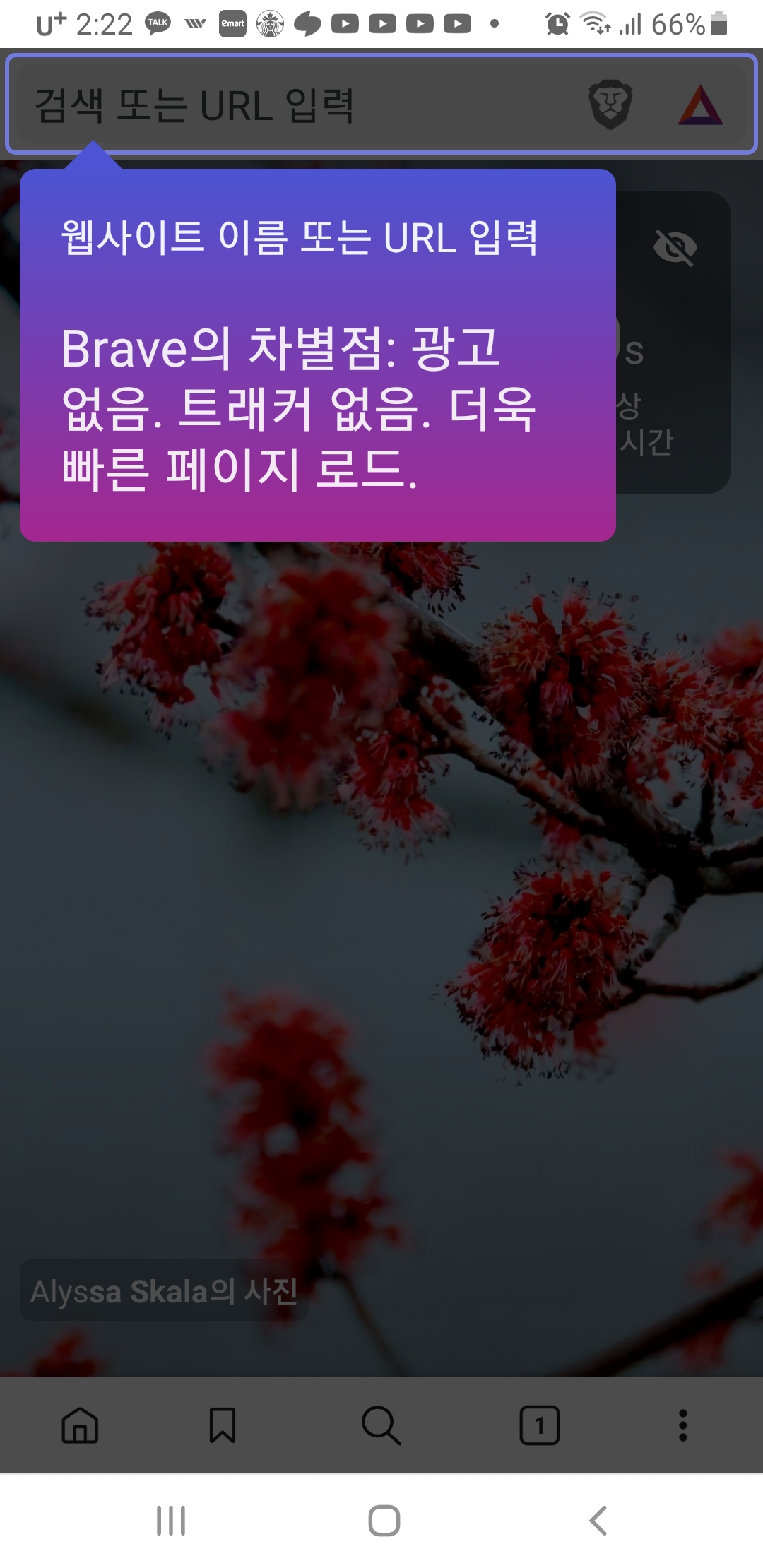 url에 youtube 검색