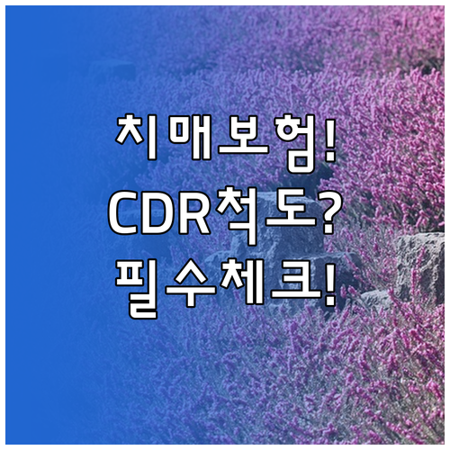 치매 보험 가입 전 꼭 확인해야 할 ..