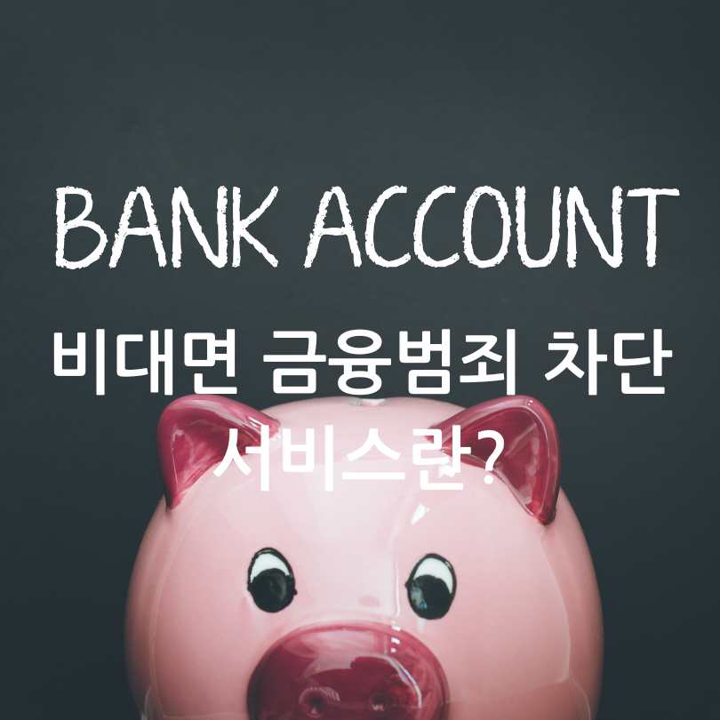 비대면 금융범죄 차단서비스