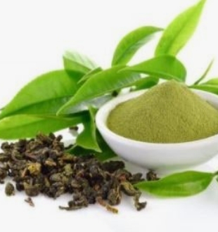 테아닌 효능과 부작용 총정리