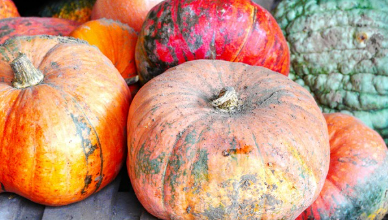 할로윈데이의 음식과 간식 이야기