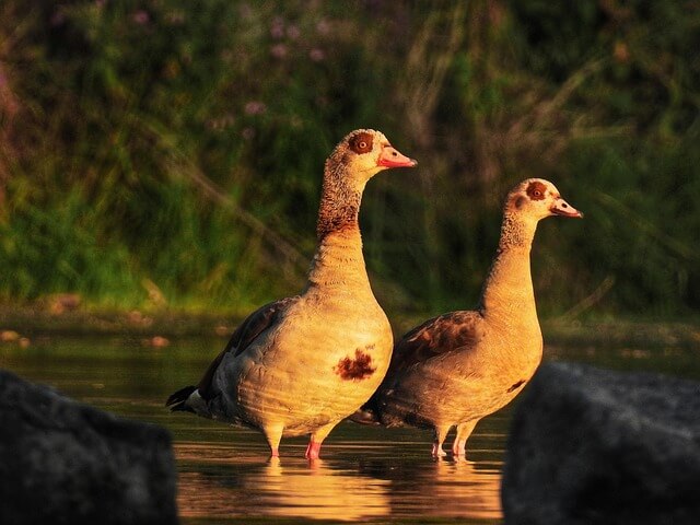 한부모가정지원혜택