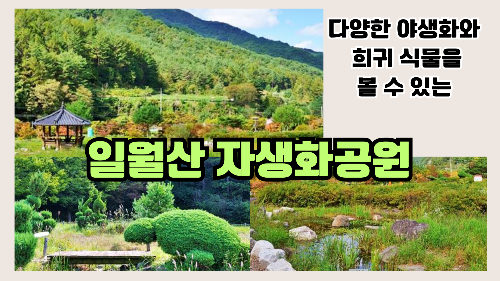 일월산 자생화공원