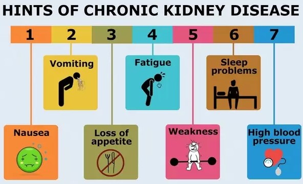 만성신부전 증상 및 만성신부전 원인