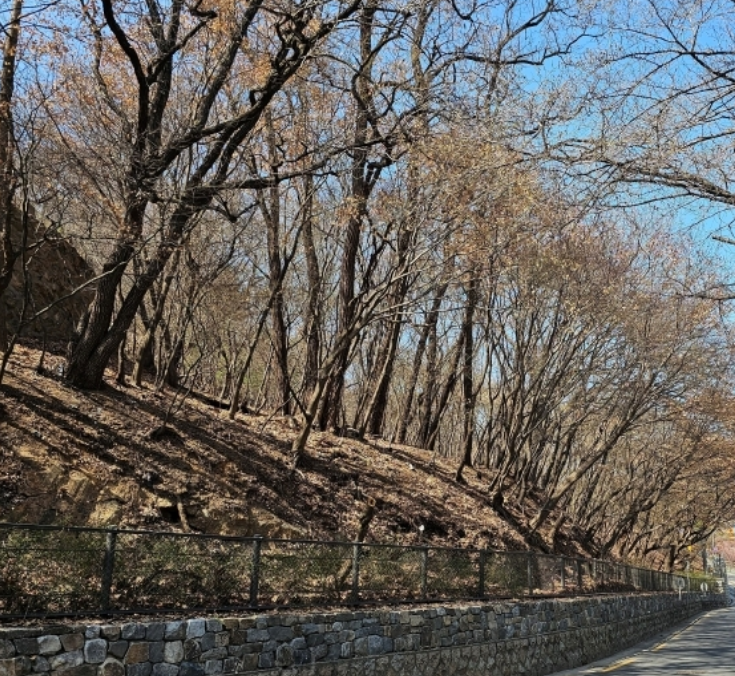 서울근교나들이