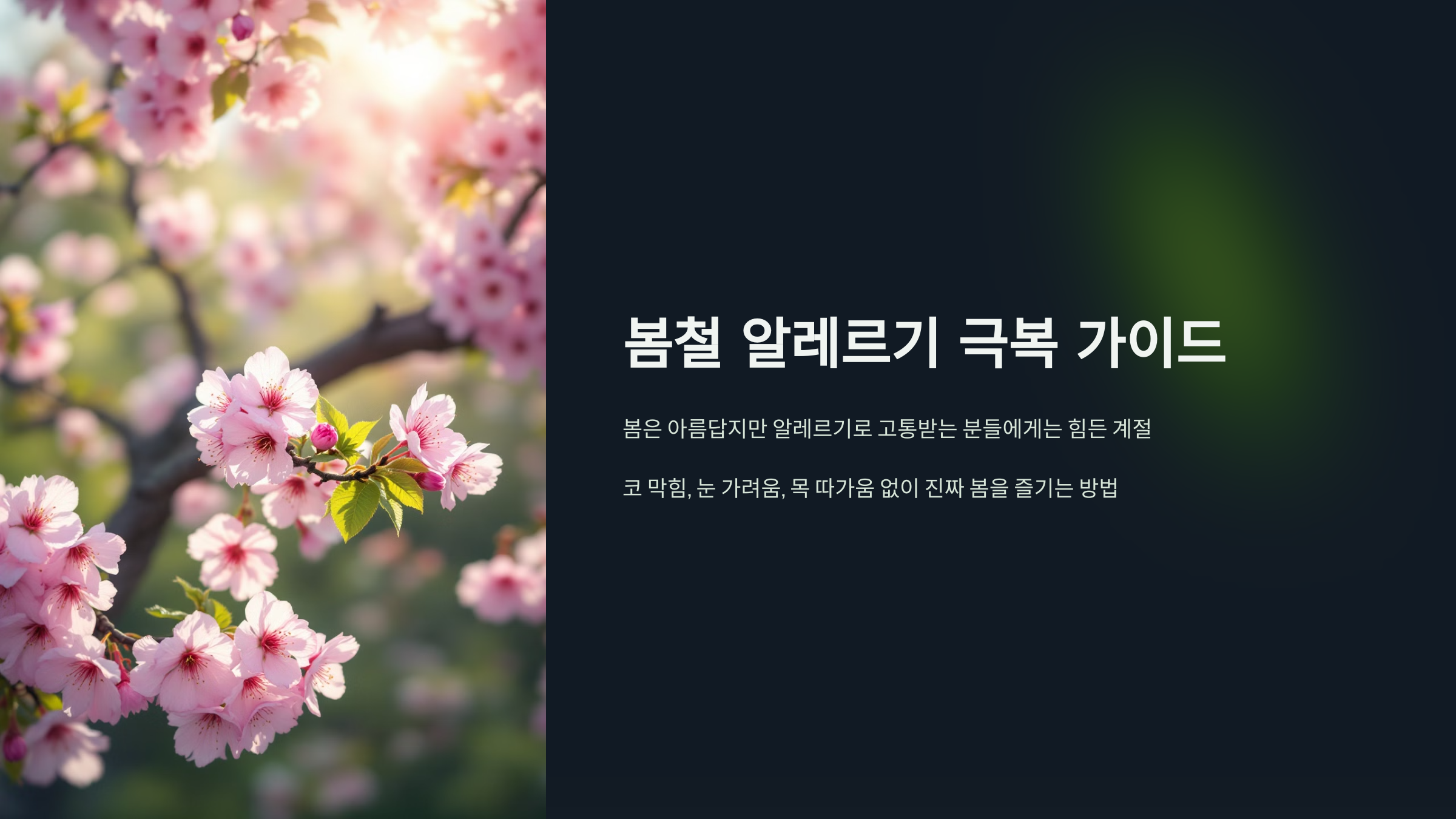 봄철 알레르기 극복 가이드