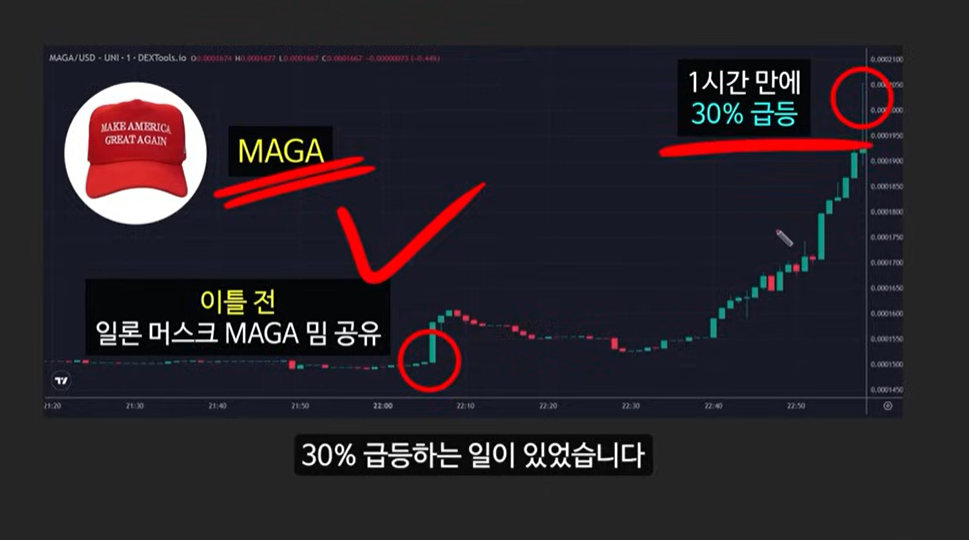 일론 머스크가 주목한 베이비 도지 코인, 급등 가능성은?