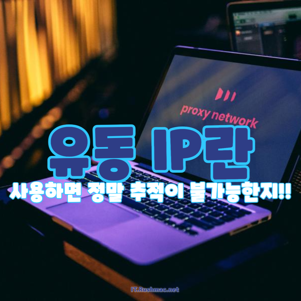 유동 IP, 진짜 익명일까?
