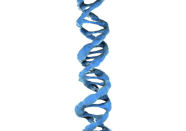 유전 프로그래밍과 자동화 설계의 만남