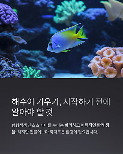 어떤 점을 알고 시작해야 할까?