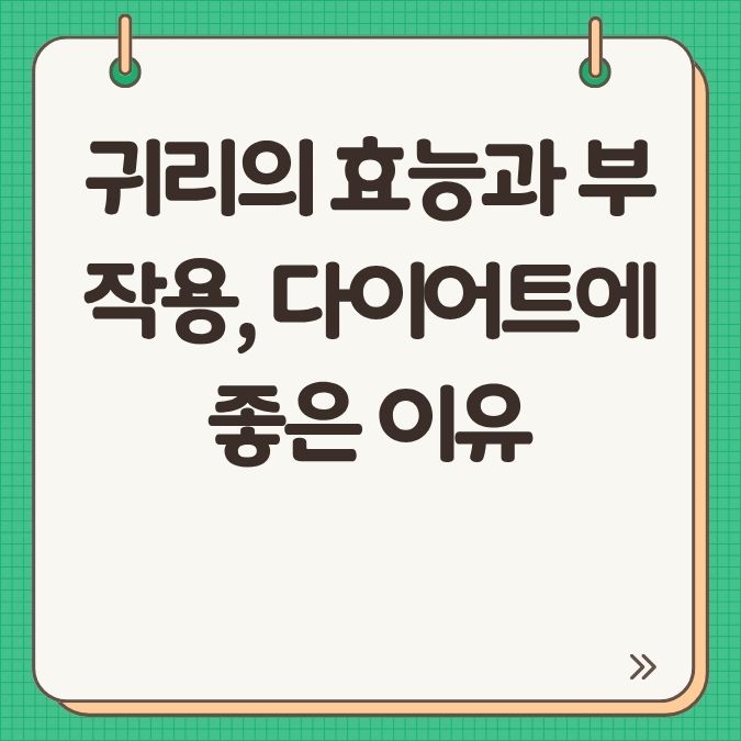 귀리의 효능과 부작용, 다이어트에 좋은 이유