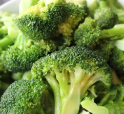 당뇨병에 좋은 음식 영양제 식단