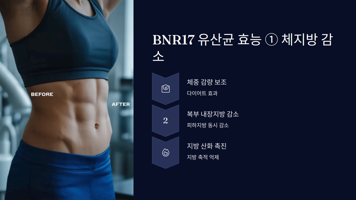 BNR17 유산균 효능