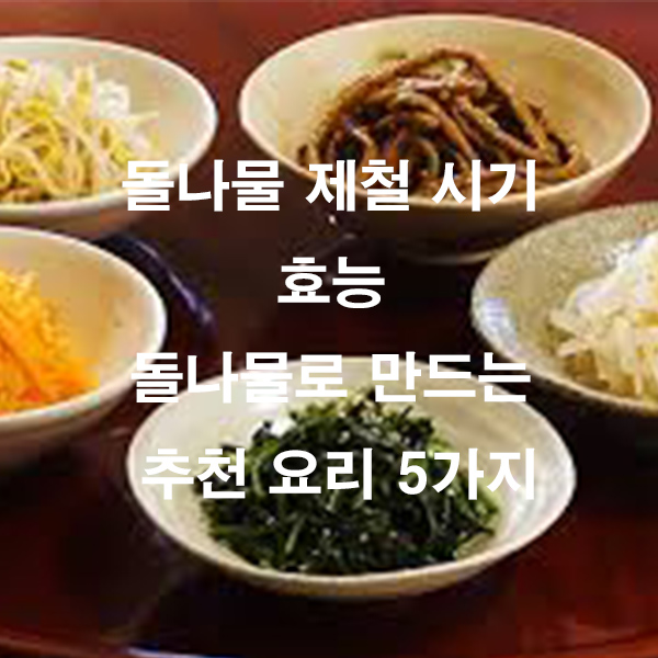 돌나물 제철 시기 효능 돌나물로 만드는 추천 요리 5가지