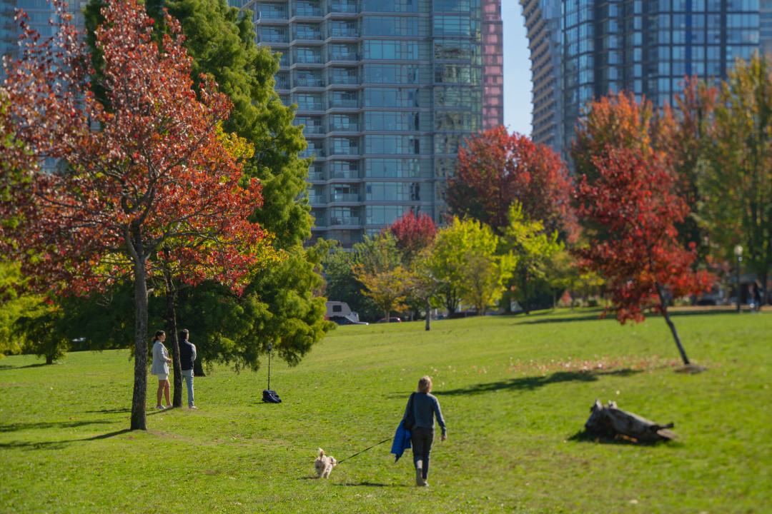 밴쿠버 스탠리 공원 산책
