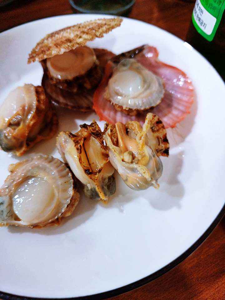 이모카세 해산물 안주 향연 다찌 통영 맛집 추천 생방송투데이 보고 먹고 즐기고 쓰리고