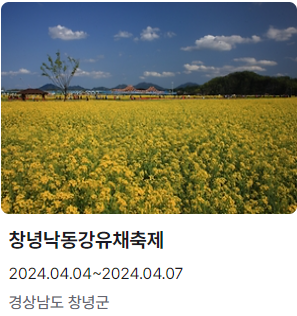 창녕낙동강유채축제