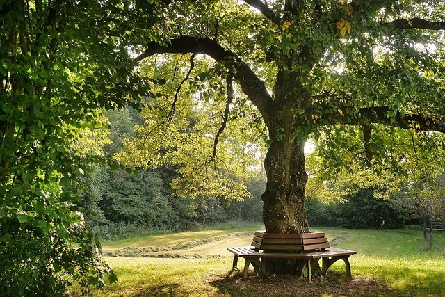 월세소득공제 어떻게 신청하나요