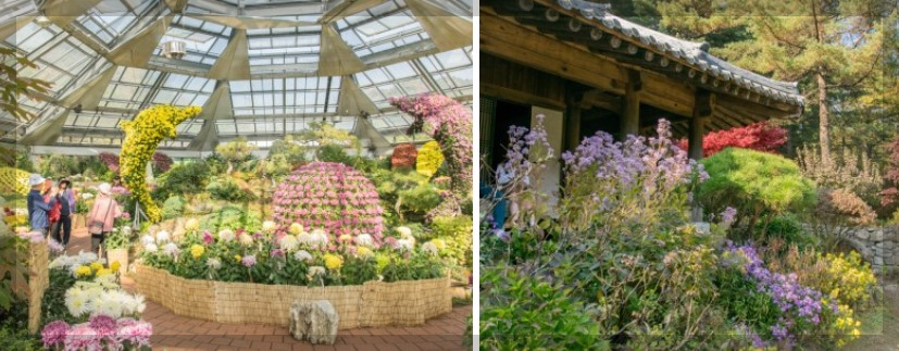 가을꽃행사 가을축제소개 및 일정 안내