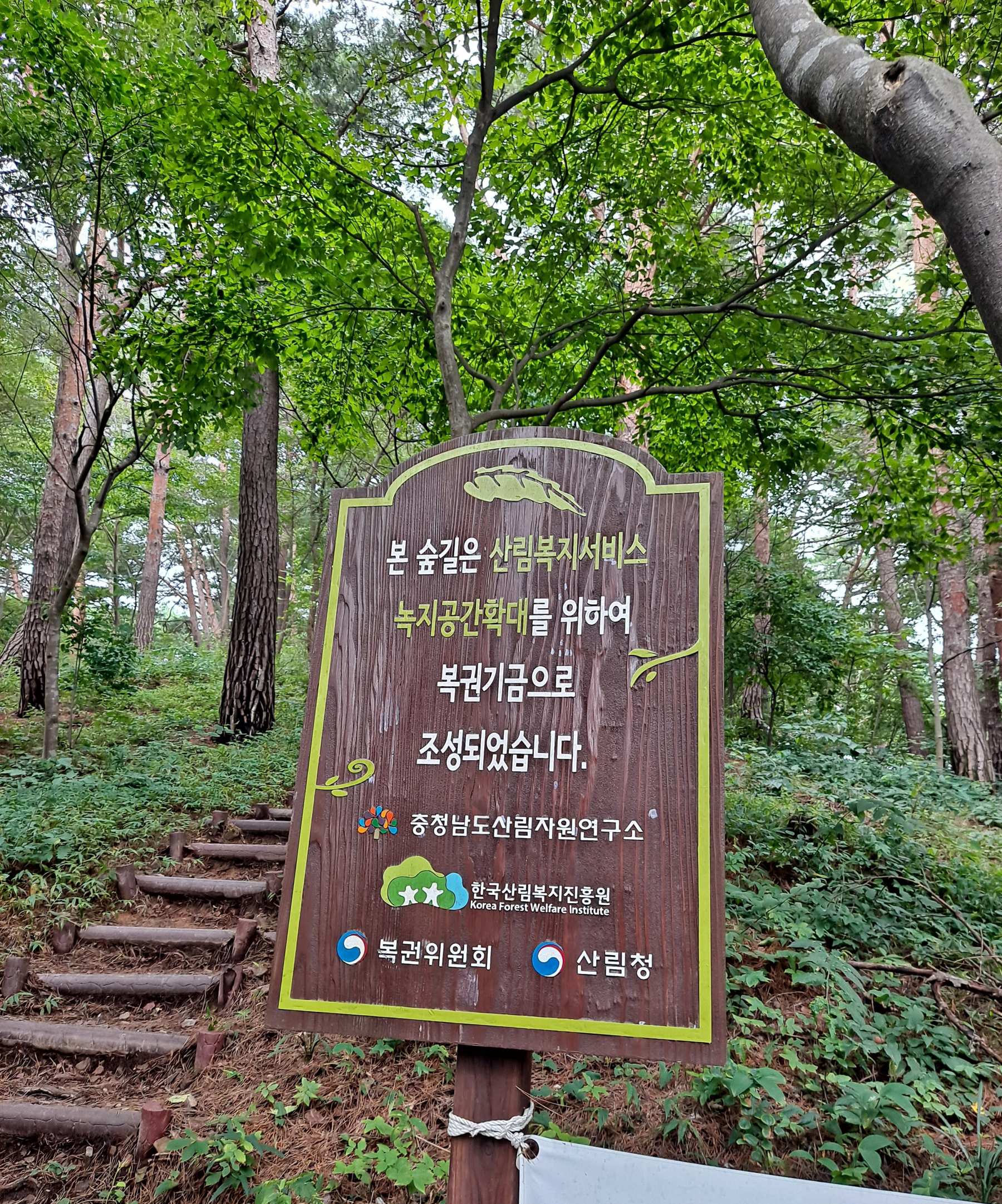 휴양림 복권기금조성길