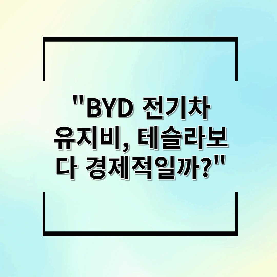 "BYD 전기차 유지비, 테슬라보다 경제적일까?"