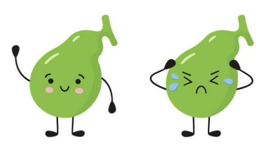 담낭염의 증상, 제거 수술, 치료 원인 좋은 음식 알아보기