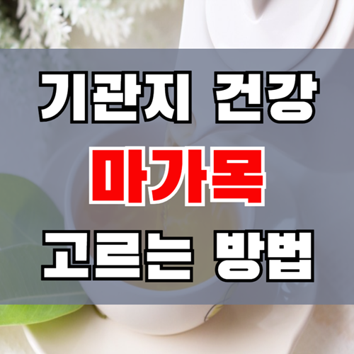 국내산 마가목 효능