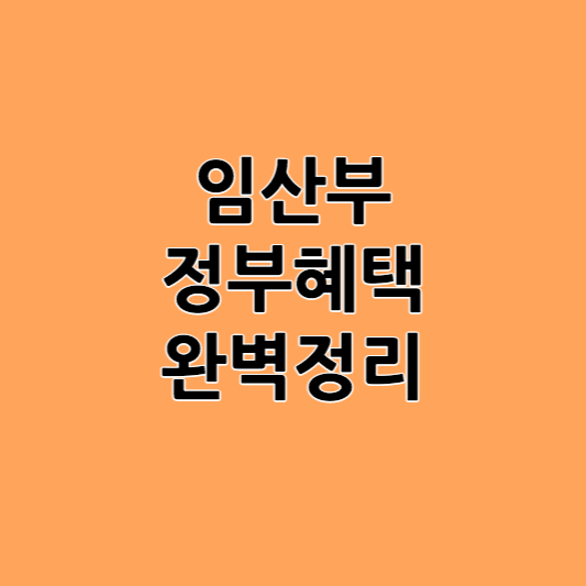 임산부 정부혜택 완벽정리