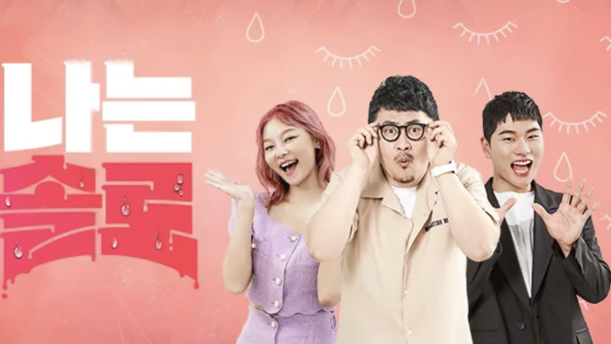 나는-솔로-티브이-프로그램