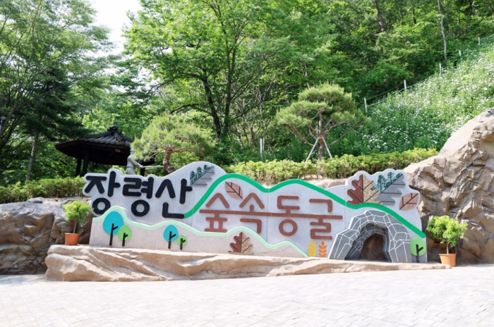 충북 옥천 장령산자연휴양림