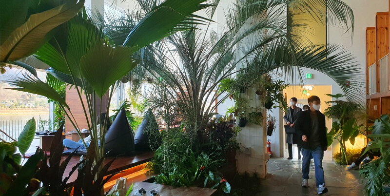 남양주-카페-라온숨-식물관-식물원