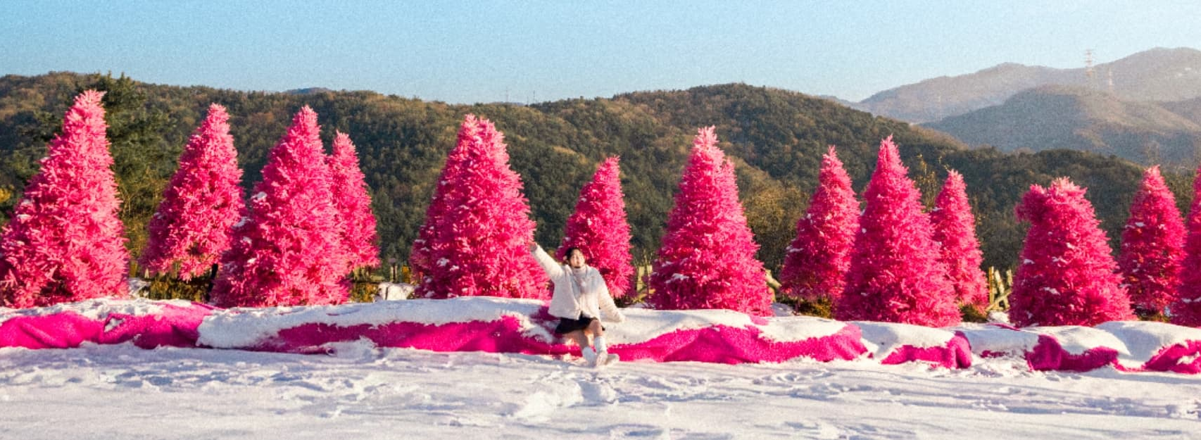 [반려견 동반, 서울 근교 여행지] 포천 허브아일랜드, 반려견과 함께 떠나는 사계절 힐링 여행