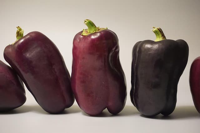 운동과 영양으로 치매를 예방할 수 있을까? 과학이 답하다