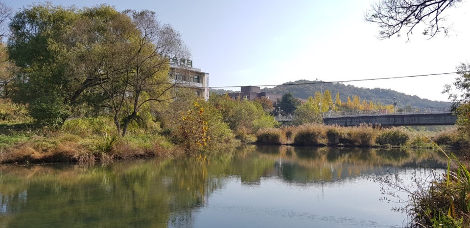 계룡 가볼만한곳 베스트10