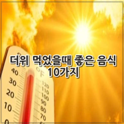 더위 먹었을때 좋은 음식 10가지