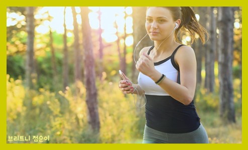 신경전달물질의 종류와 기능 사진