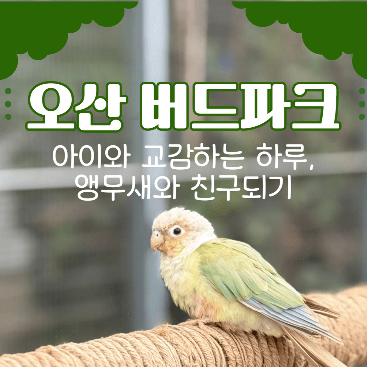 썸네일-오산버드파크(오산시청)