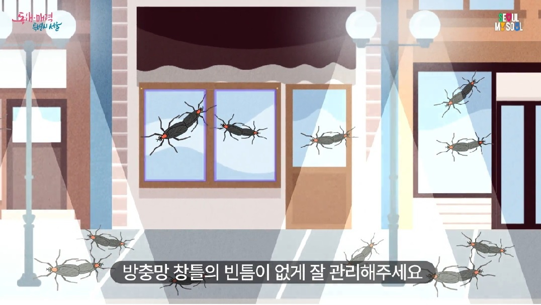 러브버그