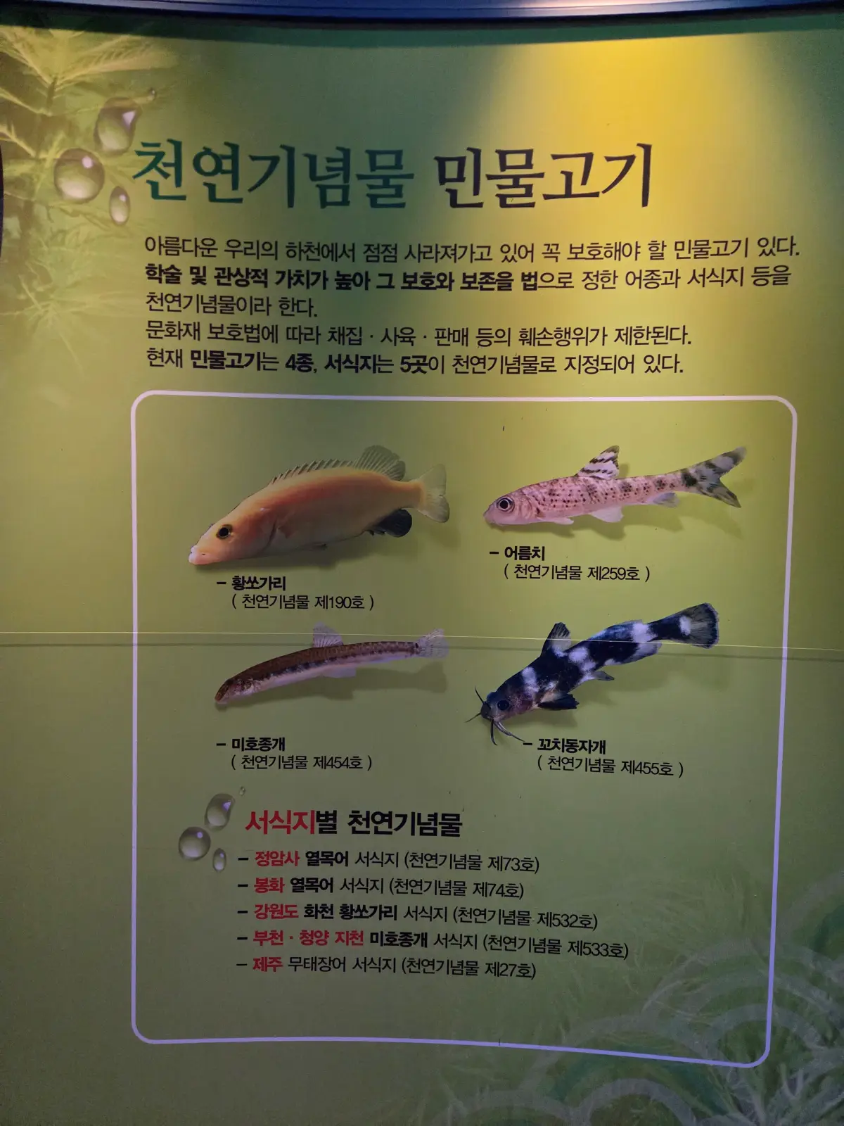 다누리아쿠아리움03
